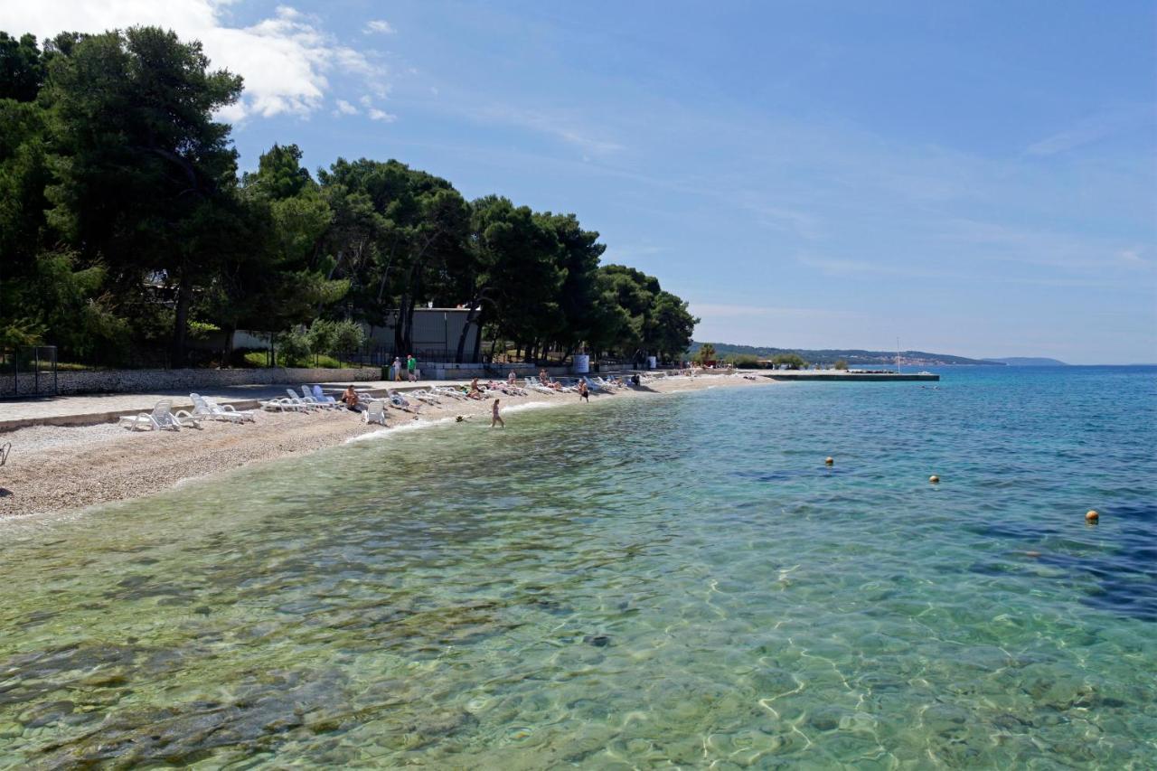 Santa Cruz
